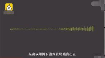 追我吧爆料视频大全下载,精彩瞬间回顾与幕后花絮大揭秘 第3张 追我吧爆料视频大全下载,精彩瞬间回顾与幕后花絮大揭秘 第3张